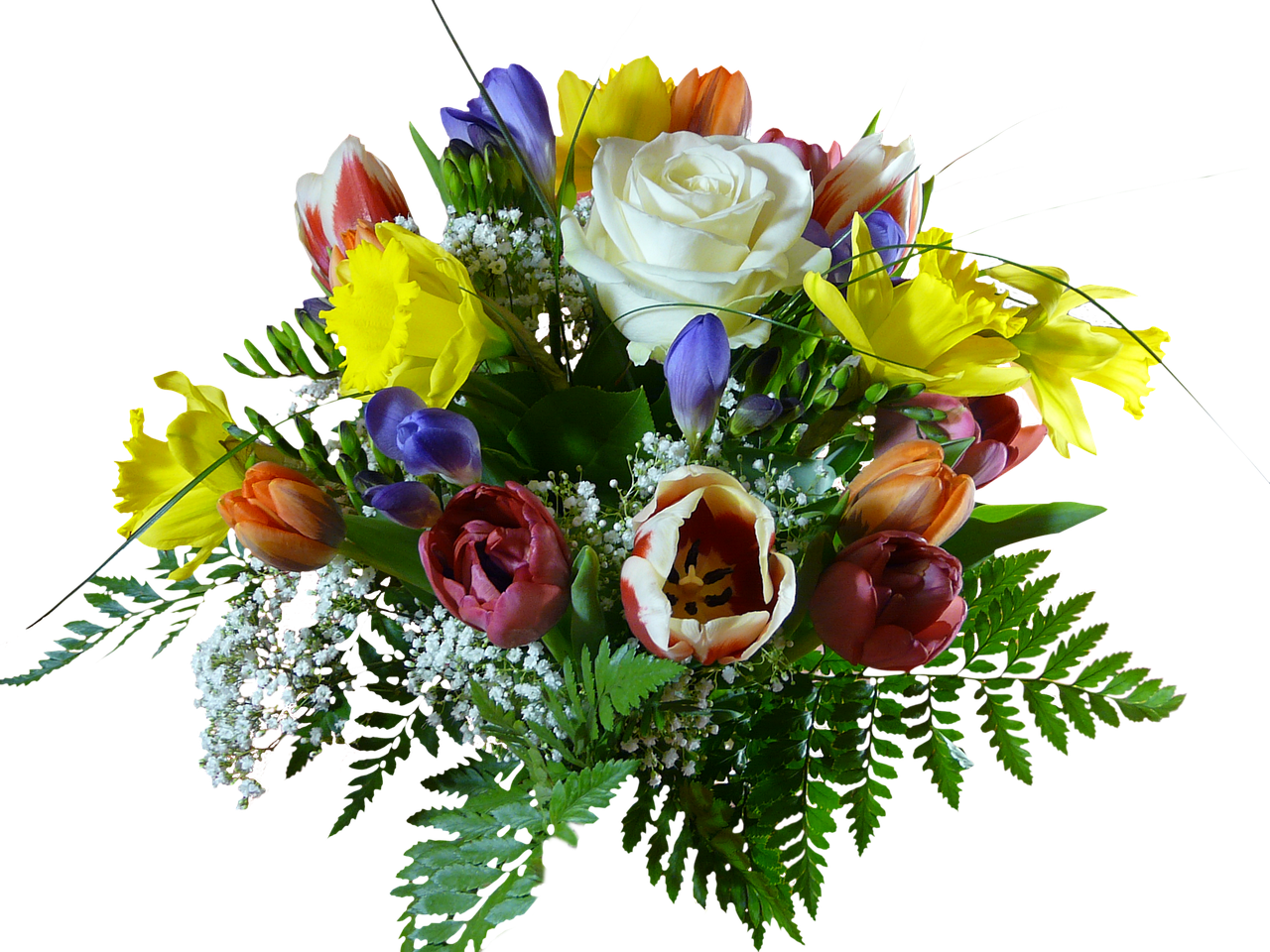 bouquet of flowers, flower background, beautiful flowers, flower wallpaper, isolated, nature, flower